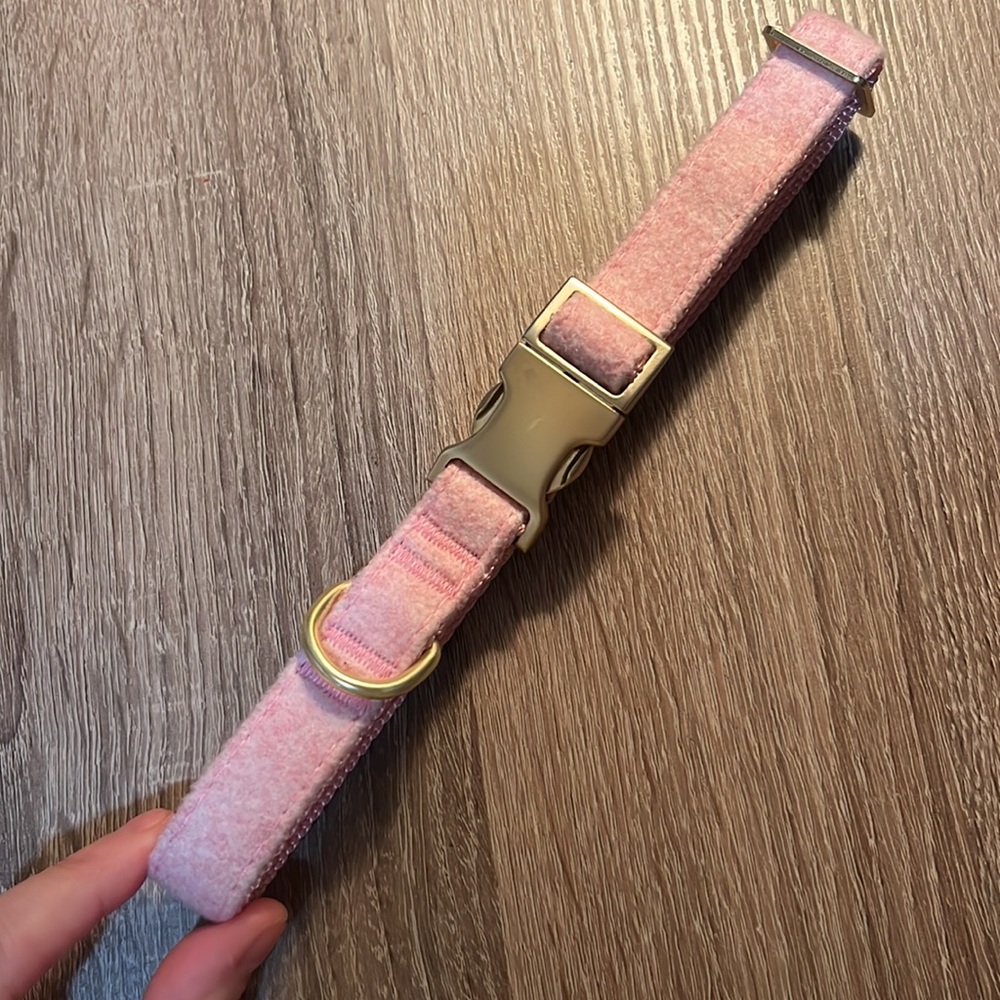 Clip on dog collar